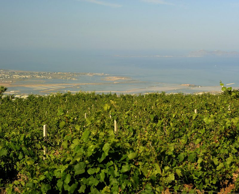 Terre Giafar 100703 0402 M1