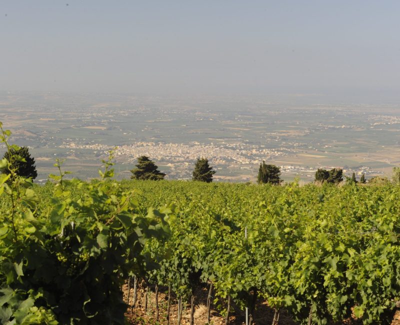 Terre Giafar 100703 0411